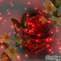 Benim PicMix - Gratis geanimeerde GIF