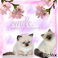 Smile Today,s a Beautiful Day