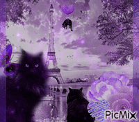 Paris in Purple