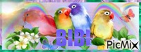 Bibi bannière animovaný GIF