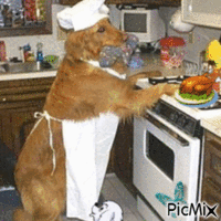 Animal cuisinier - GIF animasi gratis