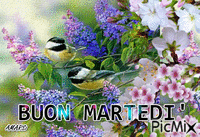 BUON MARTEDI' - Free animated GIF