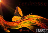 Tendresse - GIF animado grátis