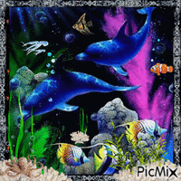 Dauphins sous la mer - GIF animado grátis
