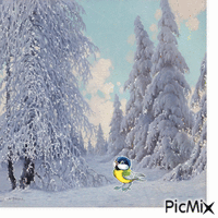 winter 动画 GIF