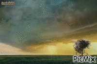 tempête - GIF animate gratis