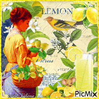 Mon agrume préféré _ le citron