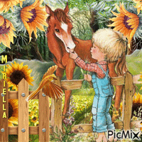 Contest!Petit garçon et son cheval - Free animated GIF