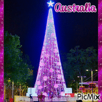 Australia Christmas Tree - GIF เคลื่อนไหวฟรี