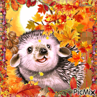 Happy Autumn Hedgehog-contest