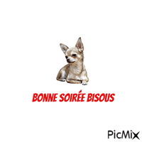 Bonne soirée bisous - Бесплатный анимированный гифка