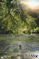 En el río nadando animovaný GIF