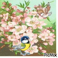 Spring animēts GIF