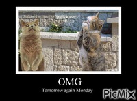 Tomorrow Monday - Δωρεάν κινούμενο GIF