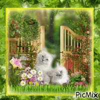Zwei Kätzchen mit Blumen - GIF เคลื่อนไหวฟรี