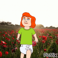 Baby in field of red flowers GIF animé