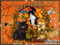 Happy Halloween Municréa Animiertes GIF
