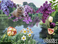 fleurs de printemps animovaný GIF