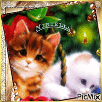 Petits  chattons  vous  souhaitent un  bon  Noél - Gratis geanimeerde GIF
