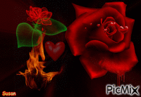 romantica rosa - Gratis animerad GIF