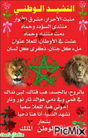 maroc animirani GIF
