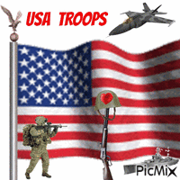 USA Troops анимиран GIF