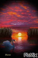 beau coucher de soleil - GIF animado grátis