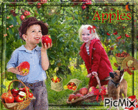 Apples Animated GIF