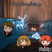 Dumbledore's army - Free animated GIF