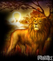 lion :) - GIF animé gratuit