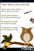 Winking Owl GIF animé