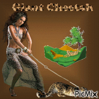 Giant Cheetah - Animovaný GIF zadarmo
