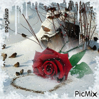 Une rose en hiver - Бесплатный анимированный гифка
