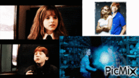 Ermione,Ron GIF animé