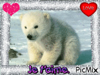 l'ours polaire - GIF animé gratuit