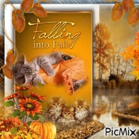 Falling Into Fall