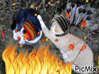 chats en automne animovaný GIF