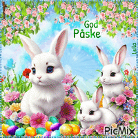 Happy Easter. Rabbits - Kostenlose animierte GIFs