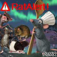 rat alert! - GIF animé gratuit