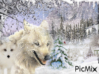 Loups - Gratis animerad GIF