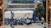 Les pigeons geanimeerde GIF