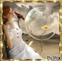 dreamy bubble - GIF animé gratuit
