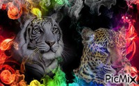 tiger with leopard - GIF animado gratis