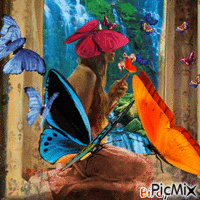Papillons - GIF animé gratuit