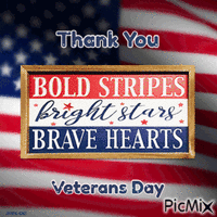 Veterans day Animated GIF
