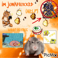 junkfluxxed animēts GIF