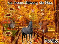 Le champion Univers de Pan. - Бесплатный анимированный гифка