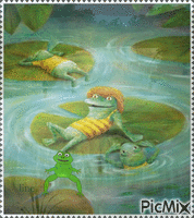 grenouille - 無料のアニメーション GIF