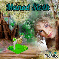 Maned sloth - GIF animasi gratis