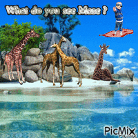 Mase giraffe animovaný GIF